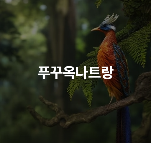 푸꾸옥나트랑 트래블가이드  푸꾸옥나트랑 여행 팁 관광 명소 최신 정보